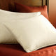 Pillow Washing Techniques