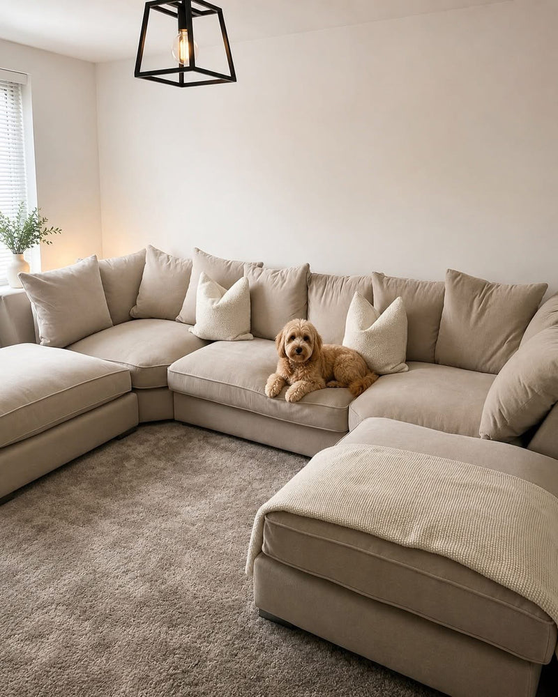 Luxury Bishop U Shape Sofa 100+ Colour Options