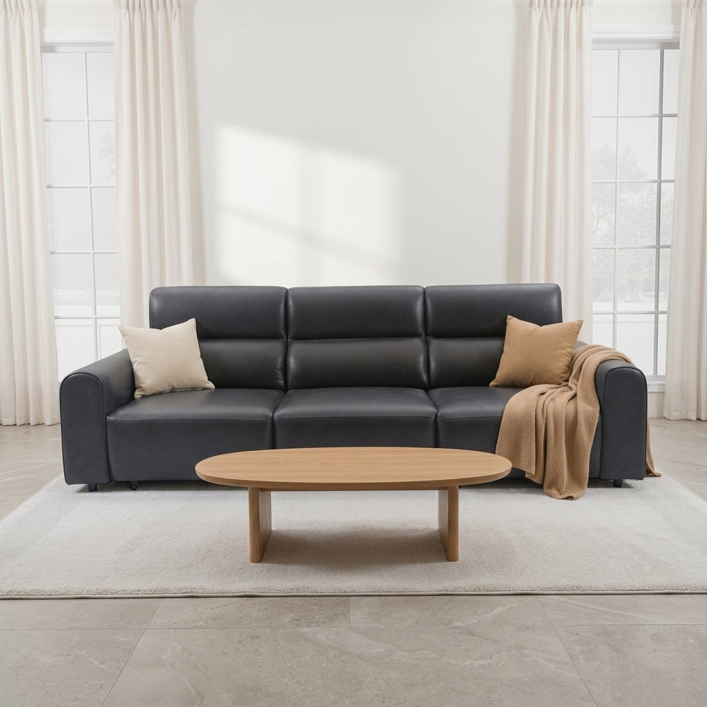 Conway Leather Electric Sofa Bed