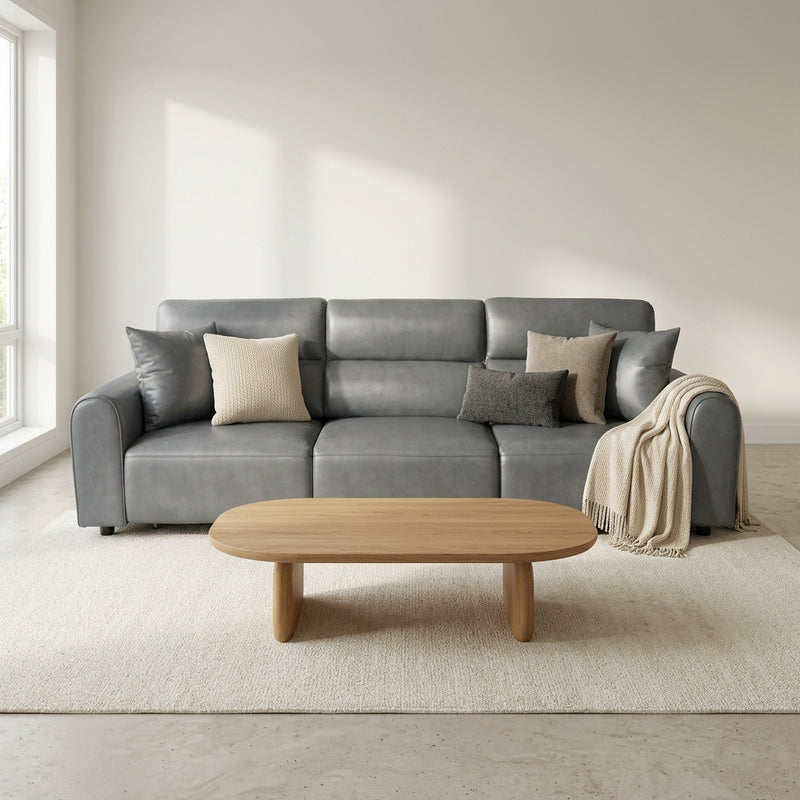 Conway Leather Electric Sofa Bed