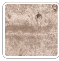 Fabric Colour Option